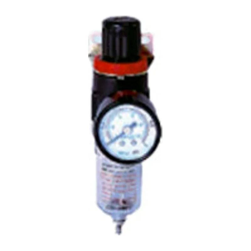 RIH AFR filter regulator — AFR2000